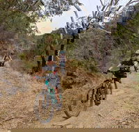 Mount Lofty Descent Bike Tour from Adelaide - Kawana Tourism