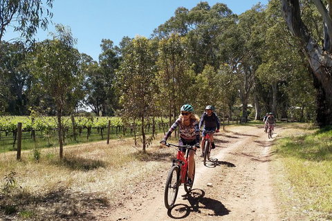McLaren Vale Wine Tour By Bike - Kawana Tourism 1