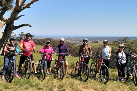 McLaren Vale Wine Tour By Bike - Kawana Tourism 2