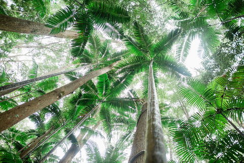 Fraser Explorer K'gari 2-Day Tour - Kawana Tourism 2