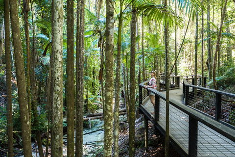All-Inclusive Fraser Island Day Tour - Kawana Tourism 5