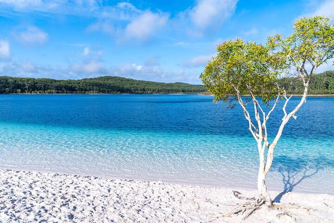 Lake McKenzie Full-Day Tour With Lunch From Hervey Bay - Kawana Tourism 1