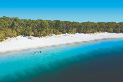 Lake McKenzie Full-Day Tour With Lunch From Hervey Bay - Kawana Tourism 4