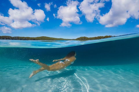 Lake McKenzie Full-Day Tour With Lunch From Hervey Bay - Kawana Tourism 5