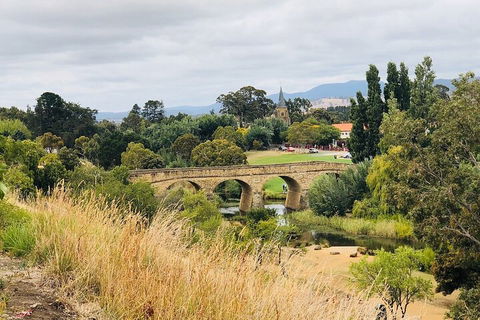 Day Tour In Mt. Field, Mt. Wellington, Bonorong Wildlife Sanctuary And Richmond - Kawana Tourism 3