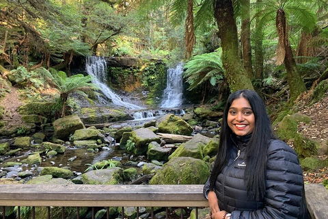 Day Tour In Mt. Field, Mt. Wellington, Bonorong Wildlife Sanctuary And Richmond - Kawana Tourism 5