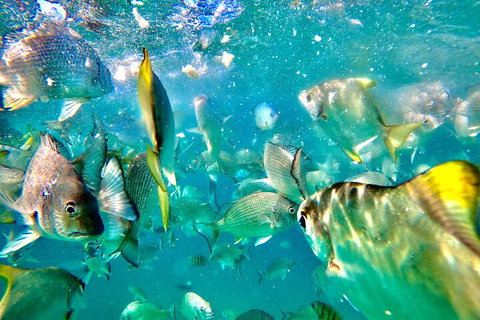 Moreton Island Day Trip (Kayak, Snorkel & Sandboard) Frm Brisbane Or Gold Coast - Kawana Tourism 1