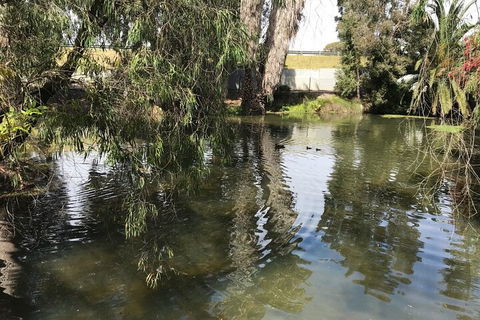 Perth East Foreshore And City Segway Tour - Kawana Tourism 1