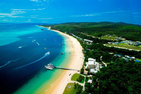 Tangalooma Island Resort Whale Watching Day Cruise - Kawana Tourism 2