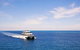 Tangalooma Island Resort Whale Watching Day Cruise - thumb 5