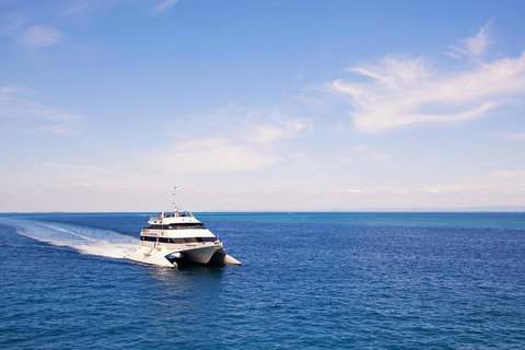 Tangalooma Island Resort Whale Watching Day Cruise - Kawana Tourism 5