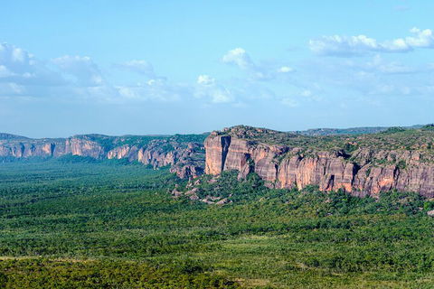 Jabiru 60 Minute Scenic Flight - Kawana Tourism 4