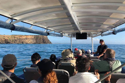 Julian Rocks Byron Bay Cruise - Kawana Tourism 4