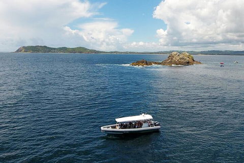 Julian Rocks Byron Bay Cruise - Kawana Tourism 5
