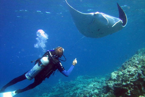 3 Day Whitsundays Sailing And Diving Adventure: Kiana - Kawana Tourism 3
