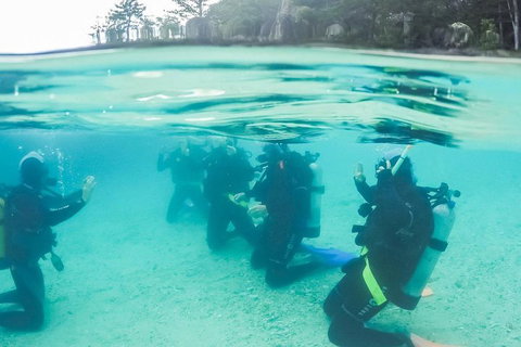3 Day Whitsundays Sailing And Diving Adventure: Kiana - Kawana Tourism 4