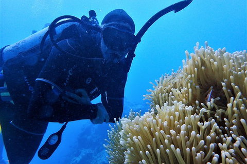 3 Day Whitsundays Sailing And Diving Adventure: Kiana - Kawana Tourism 5