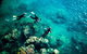 2-Night Whitsundays Sailing Adventure: Whitsunday Getaway - thumb 5