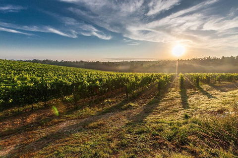 Perth To Margaret River Wine Tour - 2 Day Premium Boutique Wine Tour Experience - Kawana Tourism 0