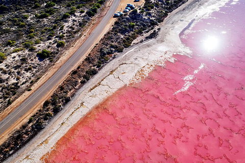 7-Day Exmouth Explorer Via Pinnacles Monkey Mia Ningaloo Reef Returning To Perth - Kawana Tourism 0