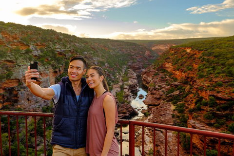 7-Day Exmouth Explorer Via Pinnacles Monkey Mia Ningaloo Reef Returning To Perth - Kawana Tourism 5
