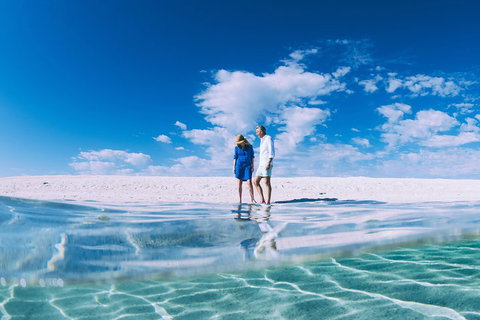 4-Day Coastal Loop Via Monkey Mia Wild Dolphins Kalbarri Pinnacles Perth Return - Kawana Tourism 0