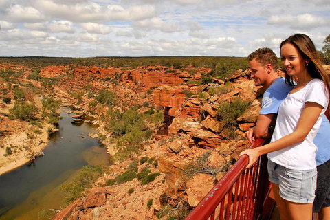 4-Day Coastal Loop Via Monkey Mia Wild Dolphins Kalbarri Pinnacles Perth Return - Kawana Tourism 3