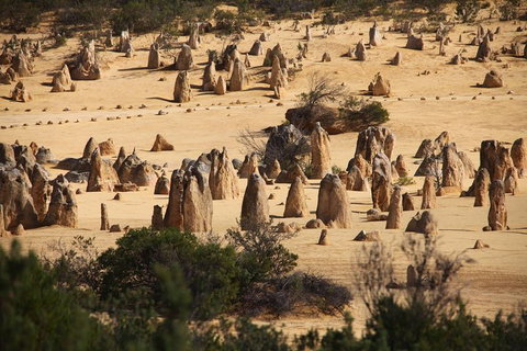 Pinnacles Sunset Dinner And Stargazing Experience A Small Group Tour - Kawana Tourism 0