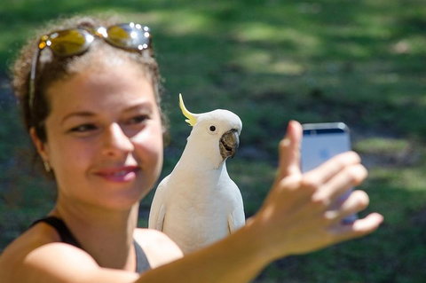 2-Day Melbourne To Adelaide Tour: Great Ocean Road And Grampians One Way Trip - Kawana Tourism 0