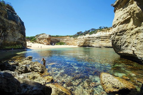 Small-Group Great Ocean Road And 12 Apostles Full-Day Tour From Melbourne - Kawana Tourism 5
