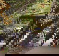 Adelaide Highlights Hahndorf  McLaren Vale Wine Tasting and Sightseeing Tour - Kawana Tourism