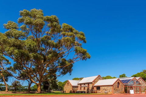 McLaren Vale And Glenelg Wine Tasting And Sightseeing (Half-day Afternoon) - Kawana Tourism 5