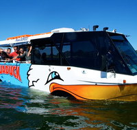 Express Jet Boat Ride  Aquaduck - Kawana Tourism