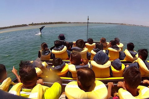 Express Jet Boat Ride + Aquaduck - Kawana Tourism 4
