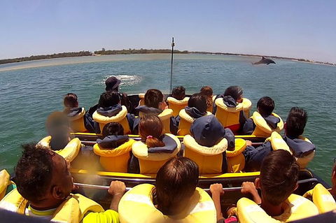 Jet Boat Express Ride - 30mins - Kawana Tourism 5
