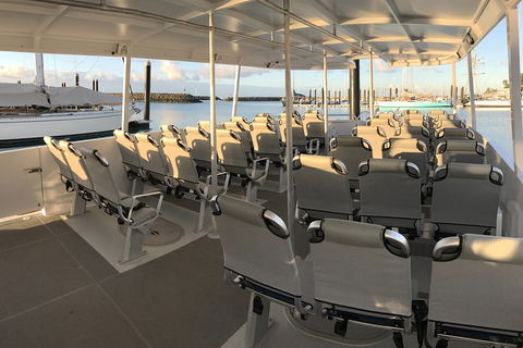 Whitsunday Bullet Day Trip - Whitehaven Beach And Snorkelling - Kawana Tourism 5