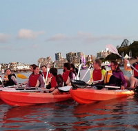 Brisbane River Guided Evening Tour by Kayak - Our Most Popular Tour - Kawana Tourism