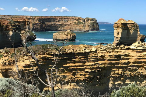 Great Ocean Road Reverse Itinerary Tour - Kawana Tourism 1