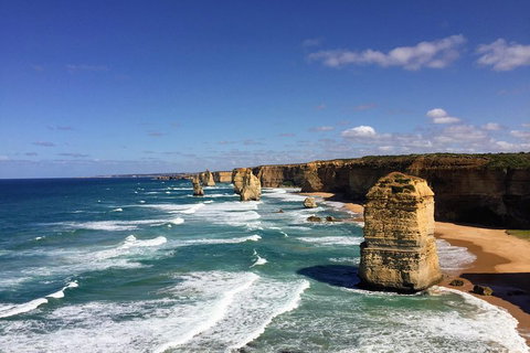 Great Ocean Road Reverse Itinerary Tour - Kawana Tourism 4