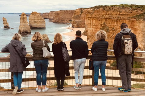 Great Ocean Road Reverse Itinerary PREMIUM Tour - Kawana Tourism 5