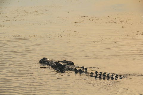 Yellow Water Cruise - Kakadu - Kawana Tourism 2