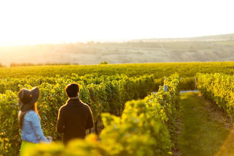 Margaret River Private Tour - Kawana Tourism 2