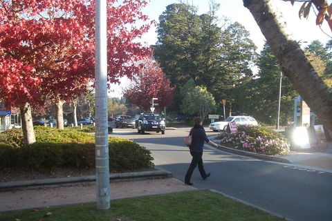 PRIVATE All-Day Blue Mountains Tour With Professional Guide For Up To 4 People - Kawana Tourism 1