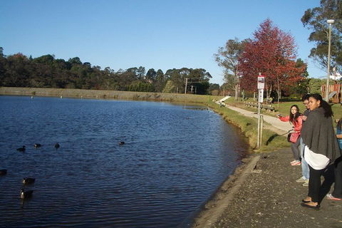 PRIVATE All-Day Blue Mountains Tour With Professional Guide For Up To 4 People - Kawana Tourism 2