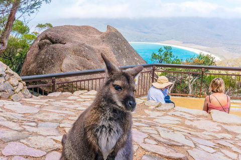 Wineglass Bay & Freycinet NP Full Day Tour From Hobart Via Richmond Village - Kawana Tourism 0