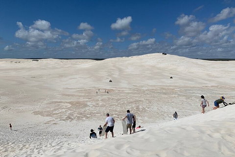 Pinnacles Day Trip From Perth Including Yanchep National Park - Kawana Tourism 2