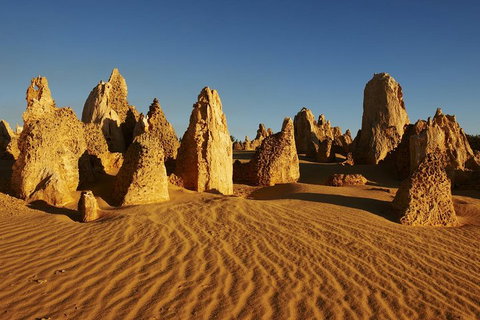 Pinnacles Day Trip From Perth Including Yanchep National Park - Kawana Tourism 5