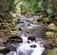 Springbrook Full Day Tour - Kawana Tourism