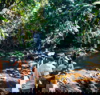 Aquaduck  Your choice of Gold Coast Rainforest Tour - Kawana Tourism