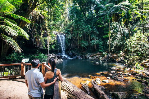Aquaduck & Your Choice Of Gold Coast Rainforest Tour - Kawana Tourism 0